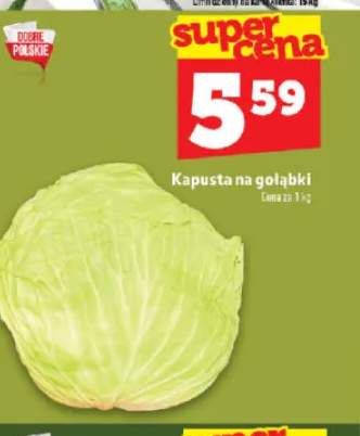 Kapusta na gołąbki