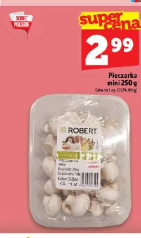 Pieczarka mini Robert