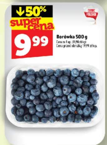 Borówka