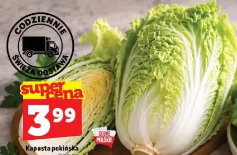 Kapusta pekińska