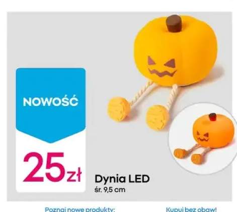 dynia