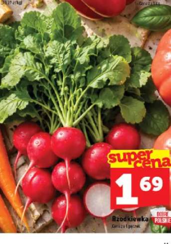 Rzodkiewka