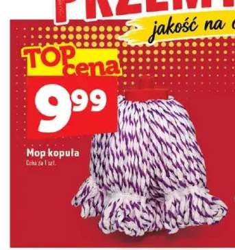 Mop kopuła