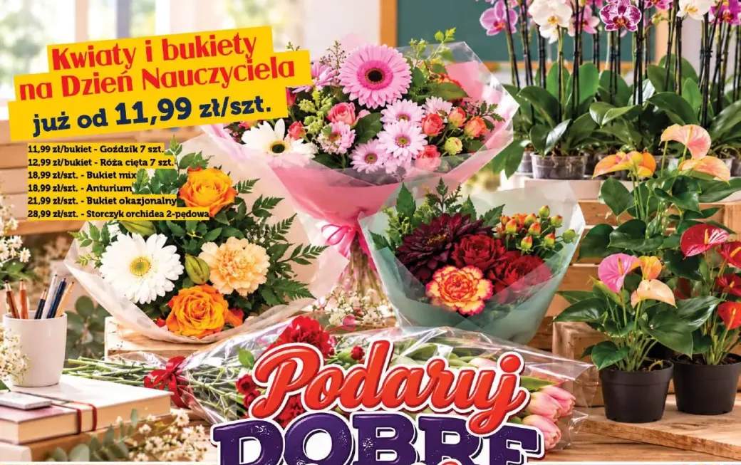 Goździk 7 szt. +5 wariantów