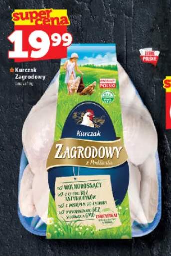 Kurczak