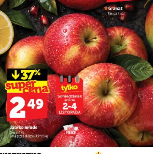 Jabłka młode polskie