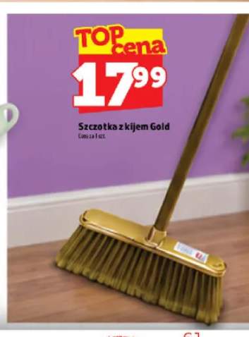 Szczotka z kijem Gold